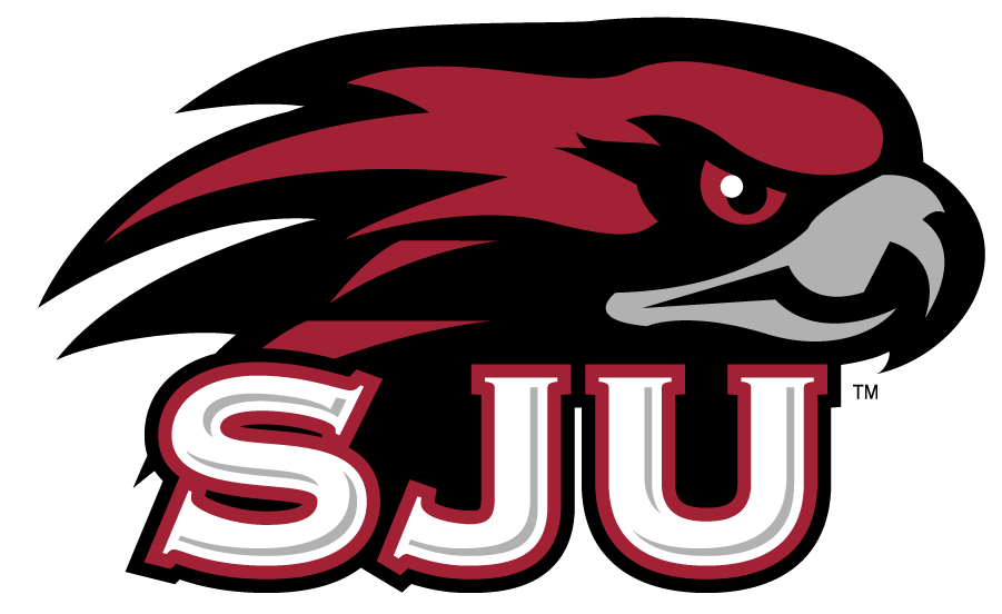 St. Joseph's Hawks 2002-Pres Secondary Logo v2 diy DTF decal sticker